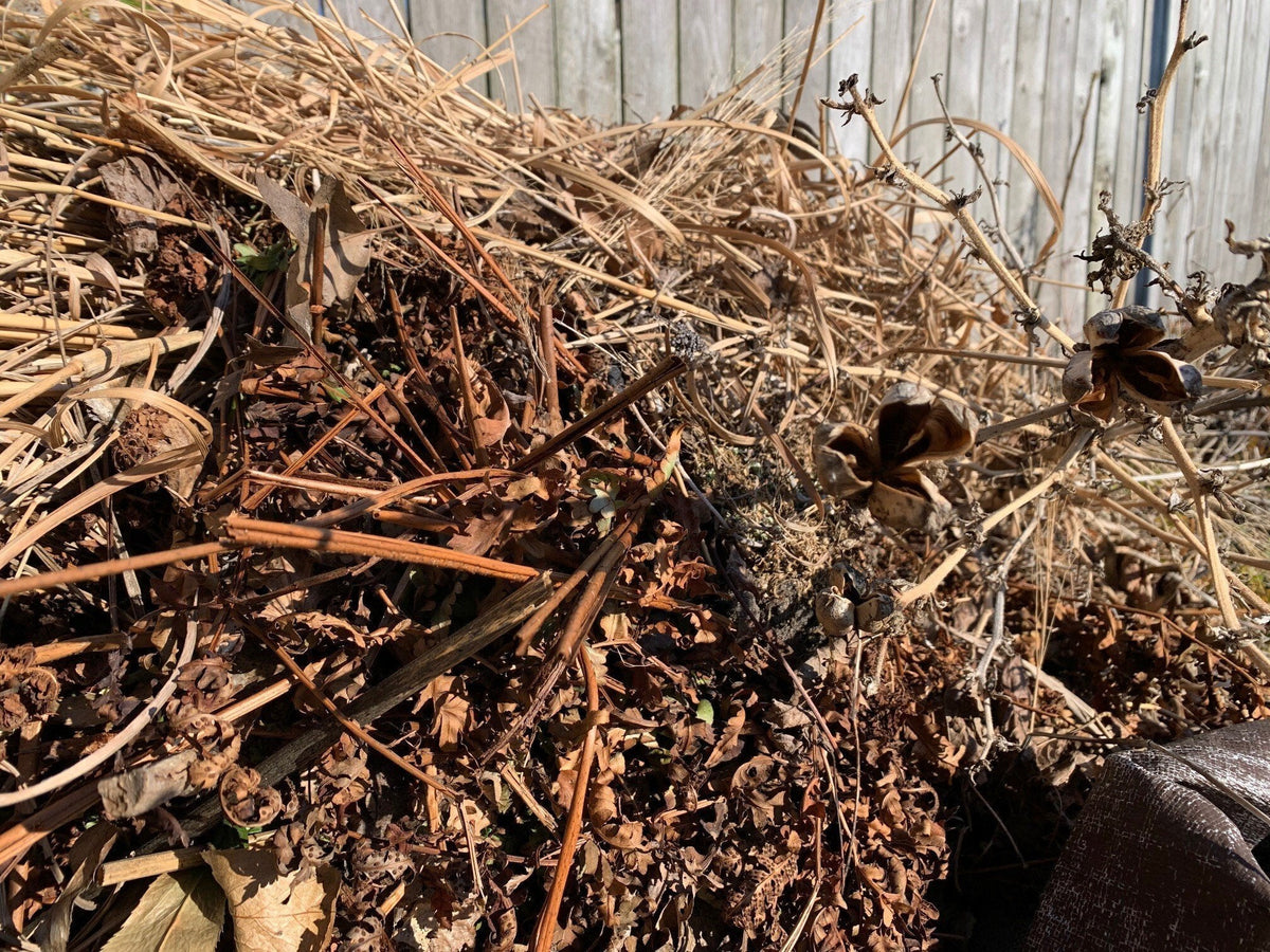 Reasons to Procrastinate Your Spring Garden Cleanup (Really!)